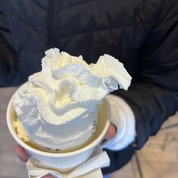 One scoop of vanilla with whipped cream
