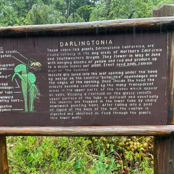 Darlingtonia State Botanical Wayside - Parks Near Me - Florence, Oregon
