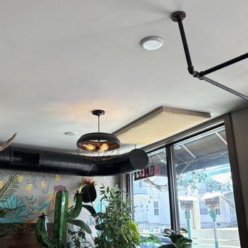 Bird & Co - Inside atmosphere - Tacos Near Me - Portland, Maine