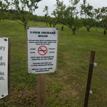 Mount Pleasant Farms - Headed to get peaches - Farmers Market Near Me - Chesapeake, Virginia