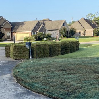 Garden Doctors - St Augustine delivery - Landscaping Near Me - New Orleans, Louisiana Garden Doctors - St Augustine delivery - Landscaping Near Me - New Orleans, Louisiana