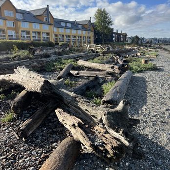Semiahmoo Resort, Golf & Spa - Hotels Near Me - Blaine, Washington