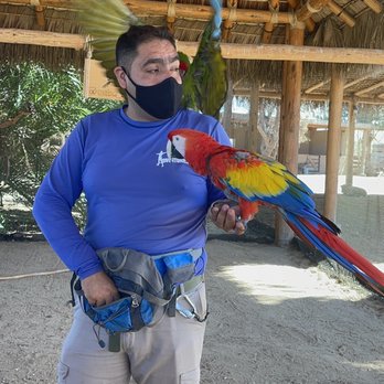 Cabo Adventures - Boat Tours Near Me - Cabo San Lucas, BCS Cabo Adventures - Boat Tours Near Me - Cabo San Lucas, BCS