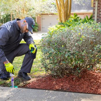 Western Exterminator Company - Western Exterminator has a comprehensive termite treatment and removal solution to protect your home and business. - Pest Control Near Me - Carson, California Western Exterminator Company - Western Exterminator has a comprehensive termite treatment and removal solution to protect your home and business. - Pest Control Near Me - Carson, California