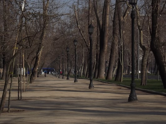 Parque Forestal by null