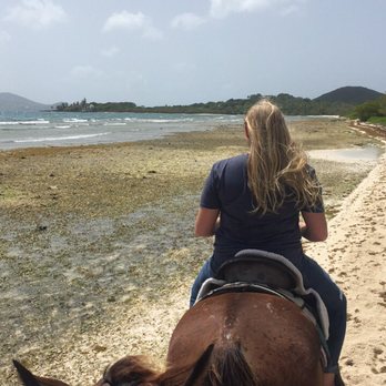 Golden Age Ranch - The highlight of our trip could easily be decided after we took a ride down a secluded beach just minutes from the Ranch. - Horseback Riding Near Me
