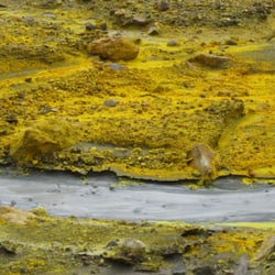 white island tours