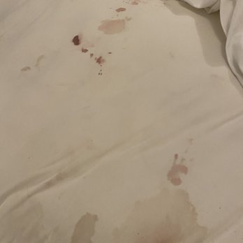 Trumbull and Porter Hotel - Room 202 - Hotels Near Me - Detroit, Michigan