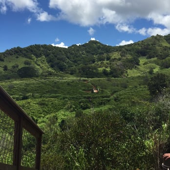 Shaka Zipline - Beautiful view! - Ziplining Near Me - Koloa, Hawaii Shaka Zipline - Beautiful view! - Ziplining Near Me - Koloa, Hawaii