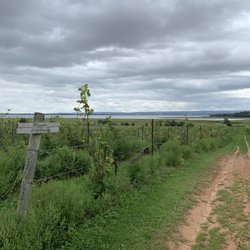 Blomidon Estate Winery