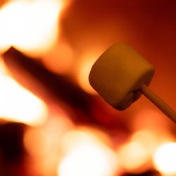 Hutton Brickyards - Smores