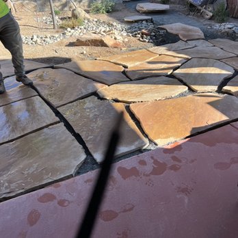 Tip Top - a man standing on a patio with a dog - Landscaping Near Me