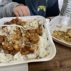 Mr. Hibachi London - Teriyaki Chicken veggie on the side