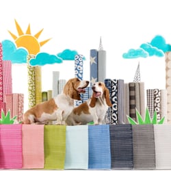 Stella e Luna - Dash And Albert Rugs Retail Partner