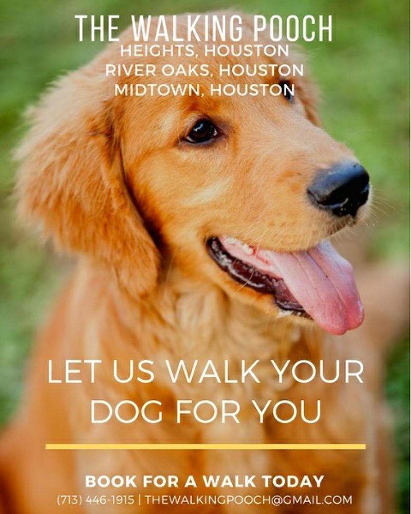 THE WALKING POOCH Dog Walkers Houston, Texas Phone Number Yelp