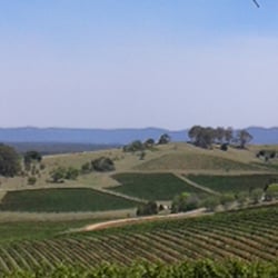 Hunter Cellars - Wine country...