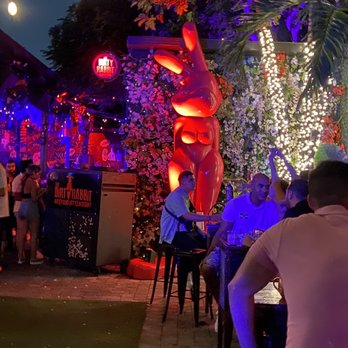 The Dirty Rabbit - The famous dirty rabbit - Bars Near Me - Miami, Florida The Dirty Rabbit - The famous dirty rabbit - Bars Near Me - Miami, Florida