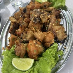 Laço de Ouro II