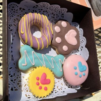 Redondo Dog - Birthday treats!!! So cute - Pet Services Near Me - Carson, California Redondo Dog - Birthday treats!!! So cute - Pet Services Near Me - Carson, California