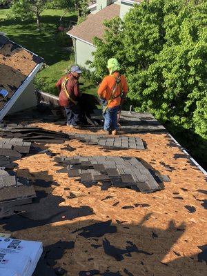 In-Ex Designs Roofing