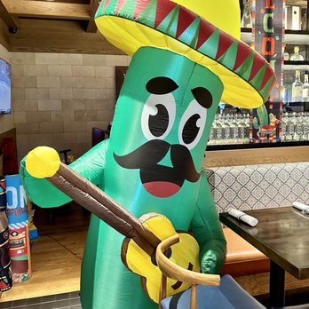 Cha Cha's Latin Kitchen - Cinco de Mayo - Bars Near Me - Brea, California Cha Cha's Latin Kitchen - Cinco de Mayo - Bars Near Me - Brea, California