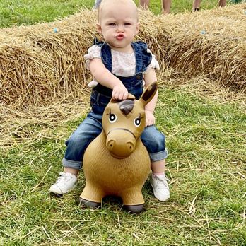 LEHNER’S PUMPKIN FARM - Updated October 2025 - 83 Photos & 22 Reviews ...