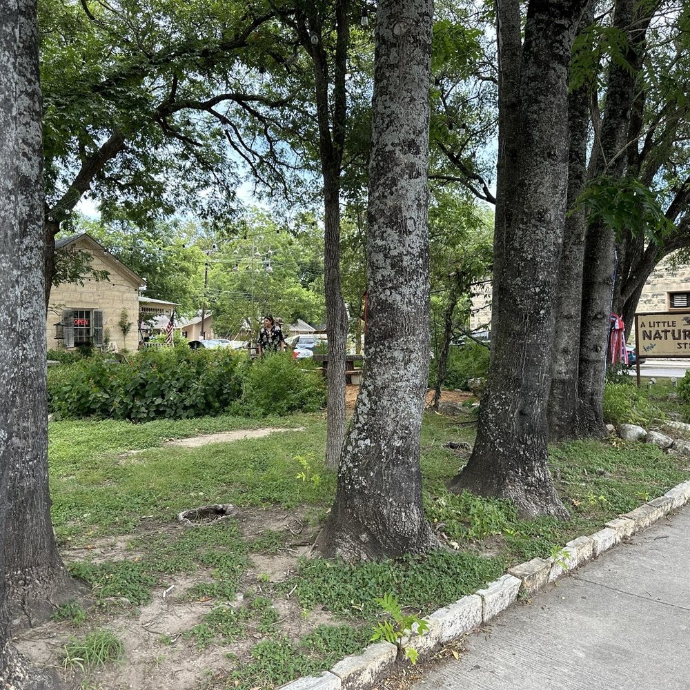 A Little Nature Store - Home Decor Near Me - Boerne, Texas A Little Nature Store - Home Decor Near Me - Boerne, Texas