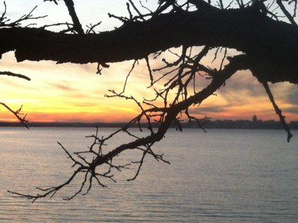 Autumn's Tree Care - tree service in Madison, WI