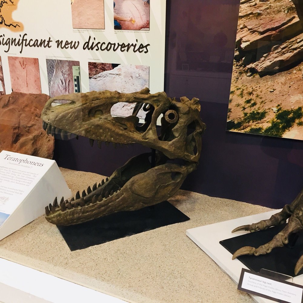 John Wesley Powell Museum - Dinosaur skull! - Museums Near Me - Page, Arizona