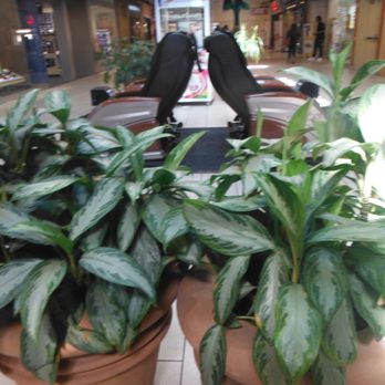 Northwoods Mall - Northwoods Mall - Shopping Centers Near Me - North Charleston, South Carolina