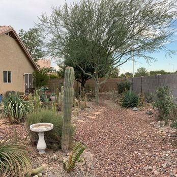 Julio Tree care & landscaping services - Tree Services Near Me - Mesa, Arizona Julio Tree care & landscaping services - Tree Services Near Me - Mesa, Arizona