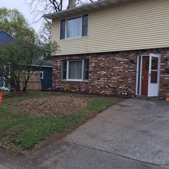 Elite Tree Services - Tree Services Near Me - Dover, New Jersey