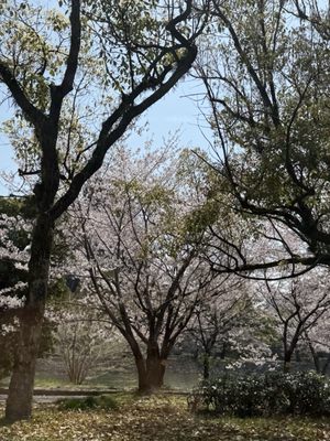 Hiroshima Castle by null