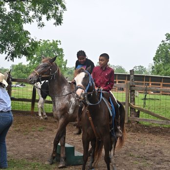 A Place For Dreamers - Horseback Riding Near Me - Needville, Texas A Place For Dreamers - Horseback Riding Near Me - Needville, Texas