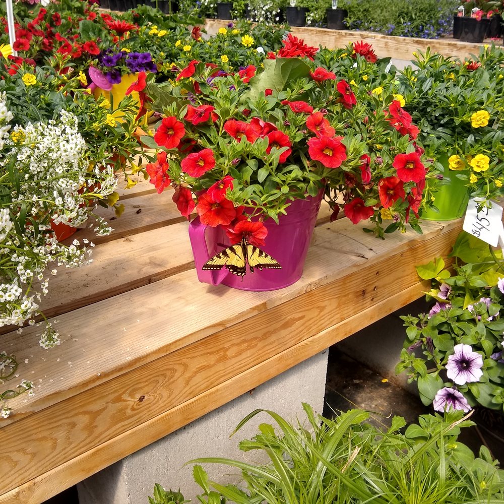 THE BEST 10 NURSERIES & GARDENING near LANGLEY, OK 74350