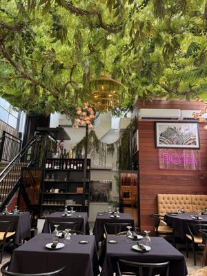 BOTA Supper Club by null