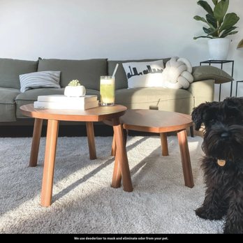 Spotless Carpet, Tile And Upholstery Cleaning - Carpet Cleaning Near Me Spotless Carpet, Tile And Upholstery Cleaning - Carpet Cleaning Near Me