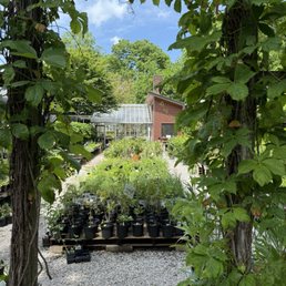Garden center Garden center