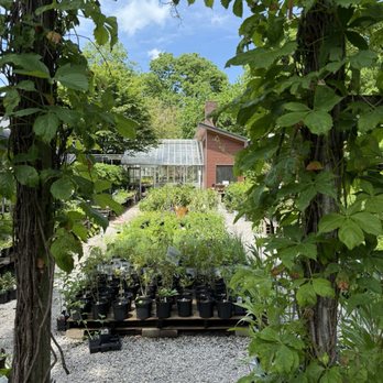Kentucky Native Cafe - Garden center - Cafes Near Me - Lexington, Kentucky Kentucky Native Cafe - Garden center - Cafes Near Me - Lexington, Kentucky