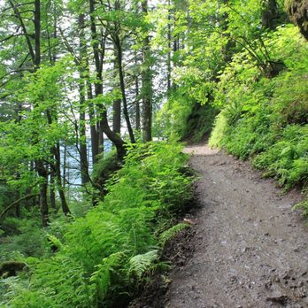 Horsetail Falls - The road can get muddy - Hiking Near Me - Cascade Locks, Oregon Horsetail Falls - The road can get muddy - Hiking Near Me - Cascade Locks, Oregon