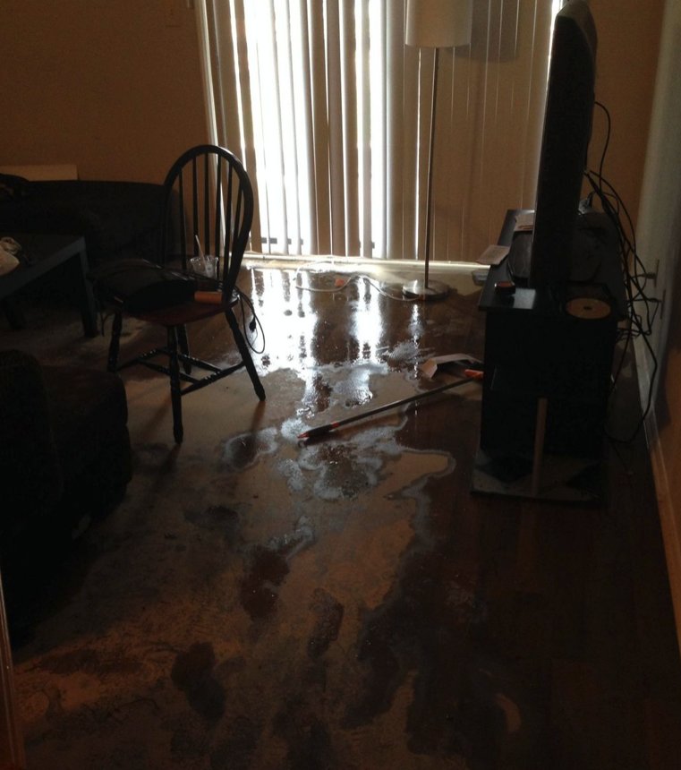 Slide of Real Restoration