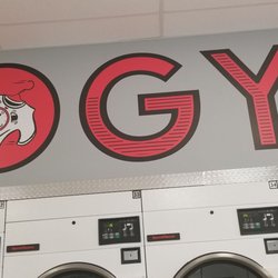 Rogy's