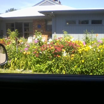 Tree Notch Tree Service - Tree Services Near Me - Richmond, Virginia Tree Notch Tree Service - Tree Services Near Me - Richmond, Virginia