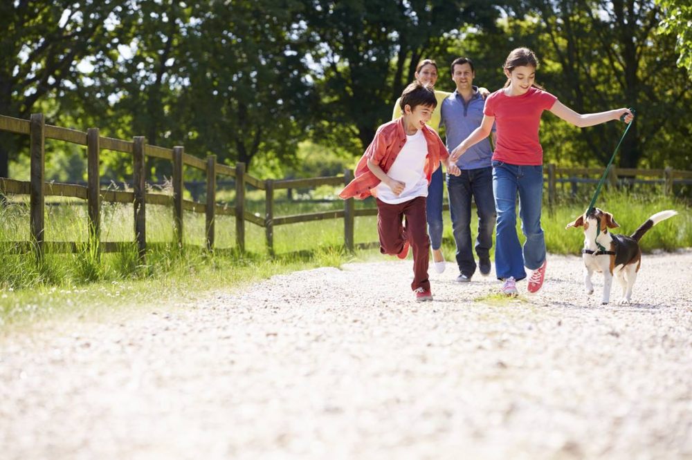 Family Counseling Associates - grief counselor in Bedford, NH