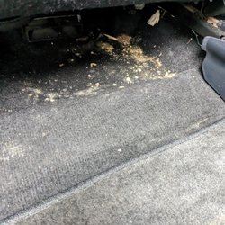 SNS Auto Sales - Sour moldy something that was supposed to be cleaned