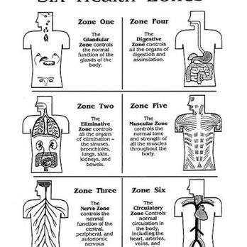 Holistic Adjustments - The six zones of health - Chiropractors Near Me - San Francisco, California Holistic Adjustments - The six zones of health - Chiropractors Near Me - San Francisco, California