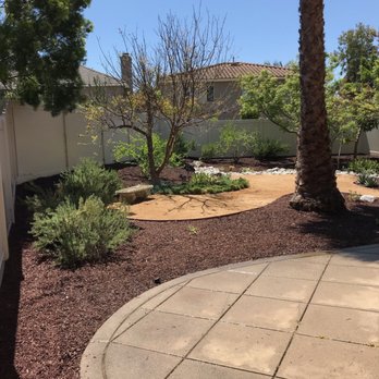 Louis MC Tree Service - After Louis Mc work - Tree Services Near Me Louis MC Tree Service - After Louis Mc work - Tree Services Near Me