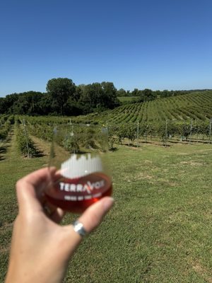 TerraVox Winery by null