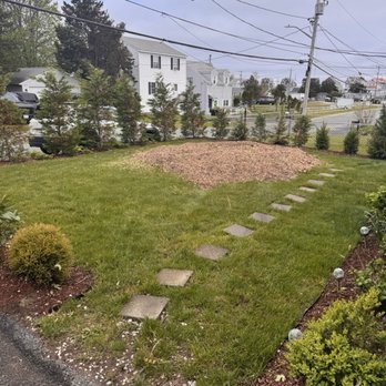 Baldi Tree - Tree Services Near Me - Plymouth, Massachusetts