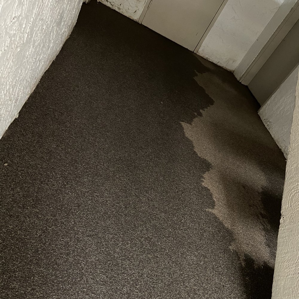 Park Meadows Apartments - Flooded hallway outside my door - Apartments Near Me - Manchester, Missouri Park Meadows Apartments - Flooded hallway outside my door - Apartments Near Me - Manchester, Missouri